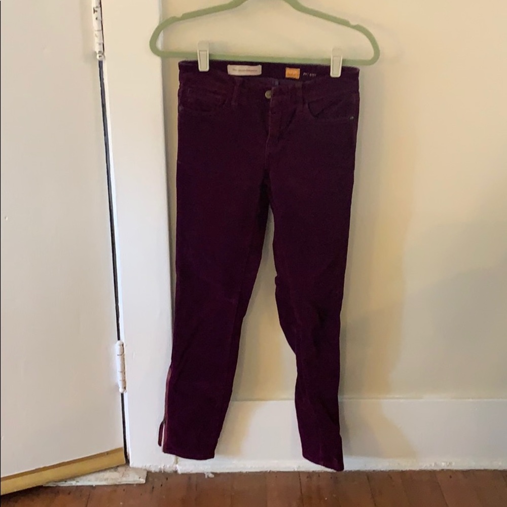 Pilcro Magenta Corduroy pants